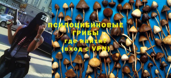 прущие крисы Армянск