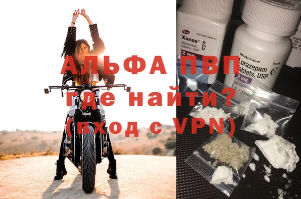 гидра Балахна